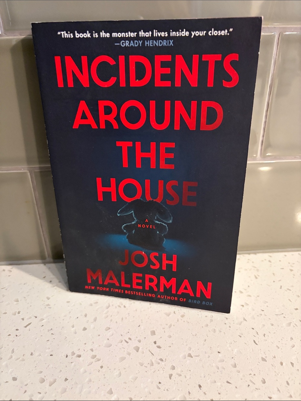 'Incidents Around the House' - Book